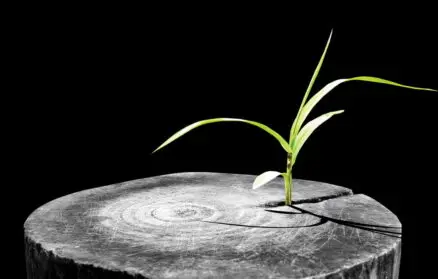 Image for Wsparcie techniczne vs. Gwarancja – Podstawowe różnice