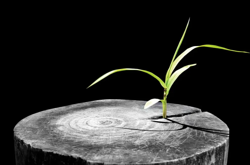 Image for Wsparcie techniczne vs. Gwarancja – Podstawowe różnice