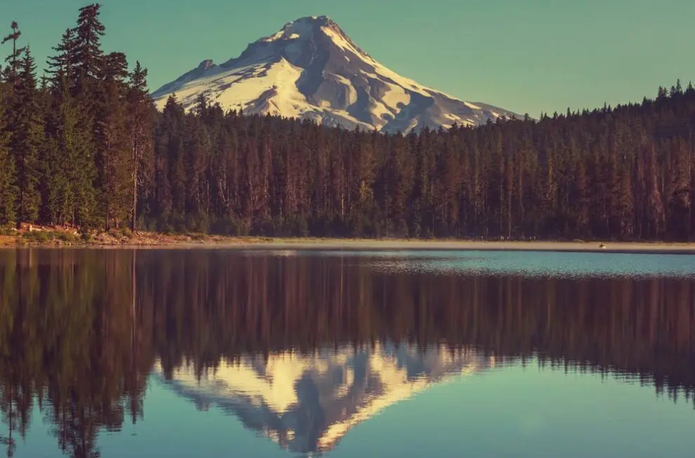 Image for Jak stworzyć środowisko developerskie i produkcyjne przy pomocy Grunt.js